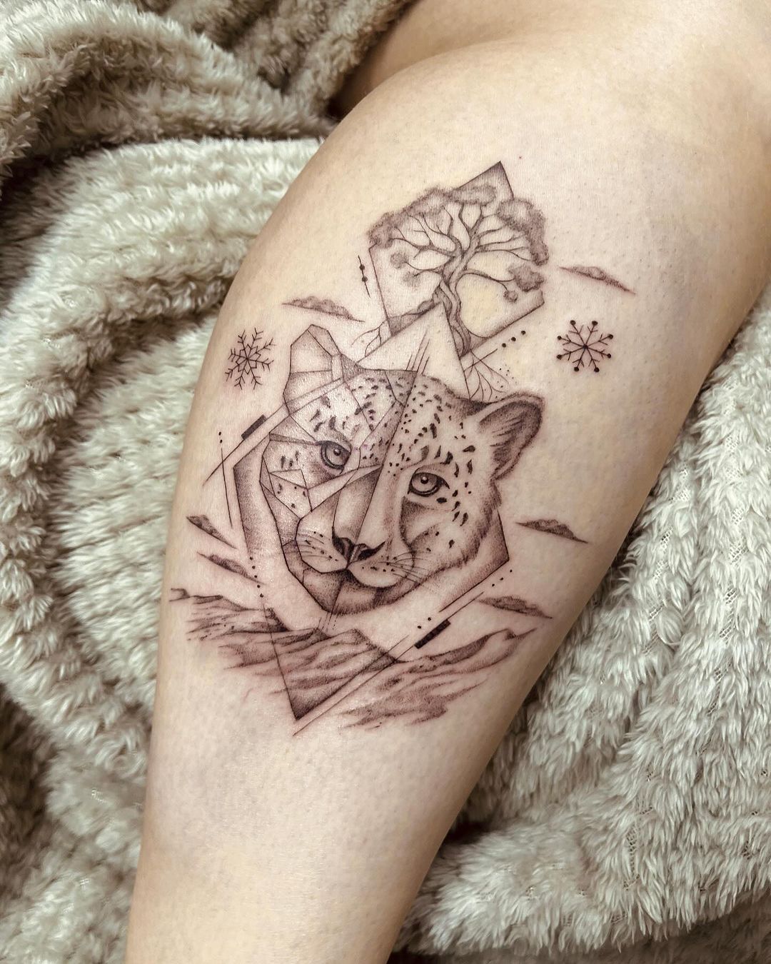 Travail de Fanny Coutin