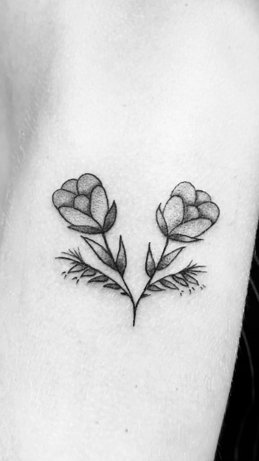 Portfolio de Nanou Tattoo