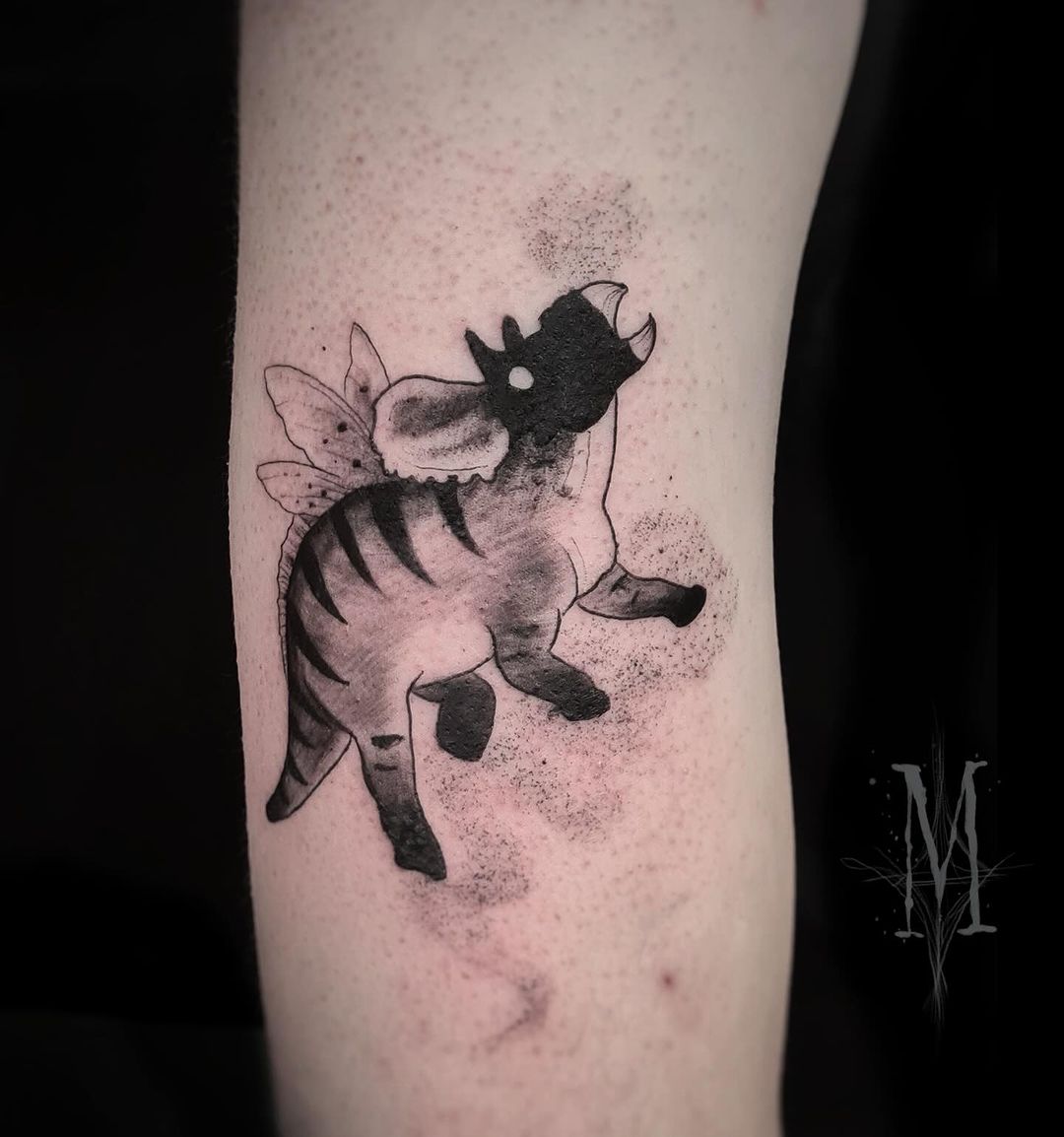Portfolio de Maïssa