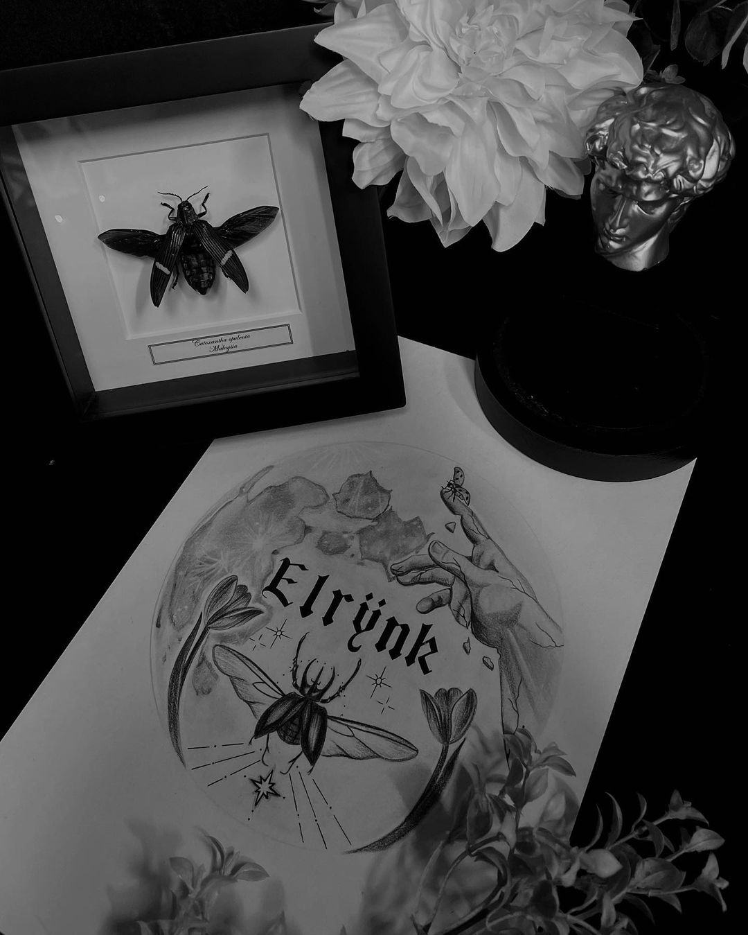 Portfolio de ᴇʟʀÿɴᴋ