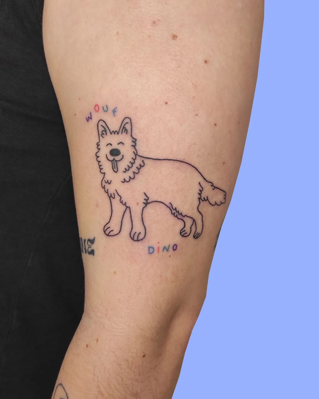 Portfolio de Adèle