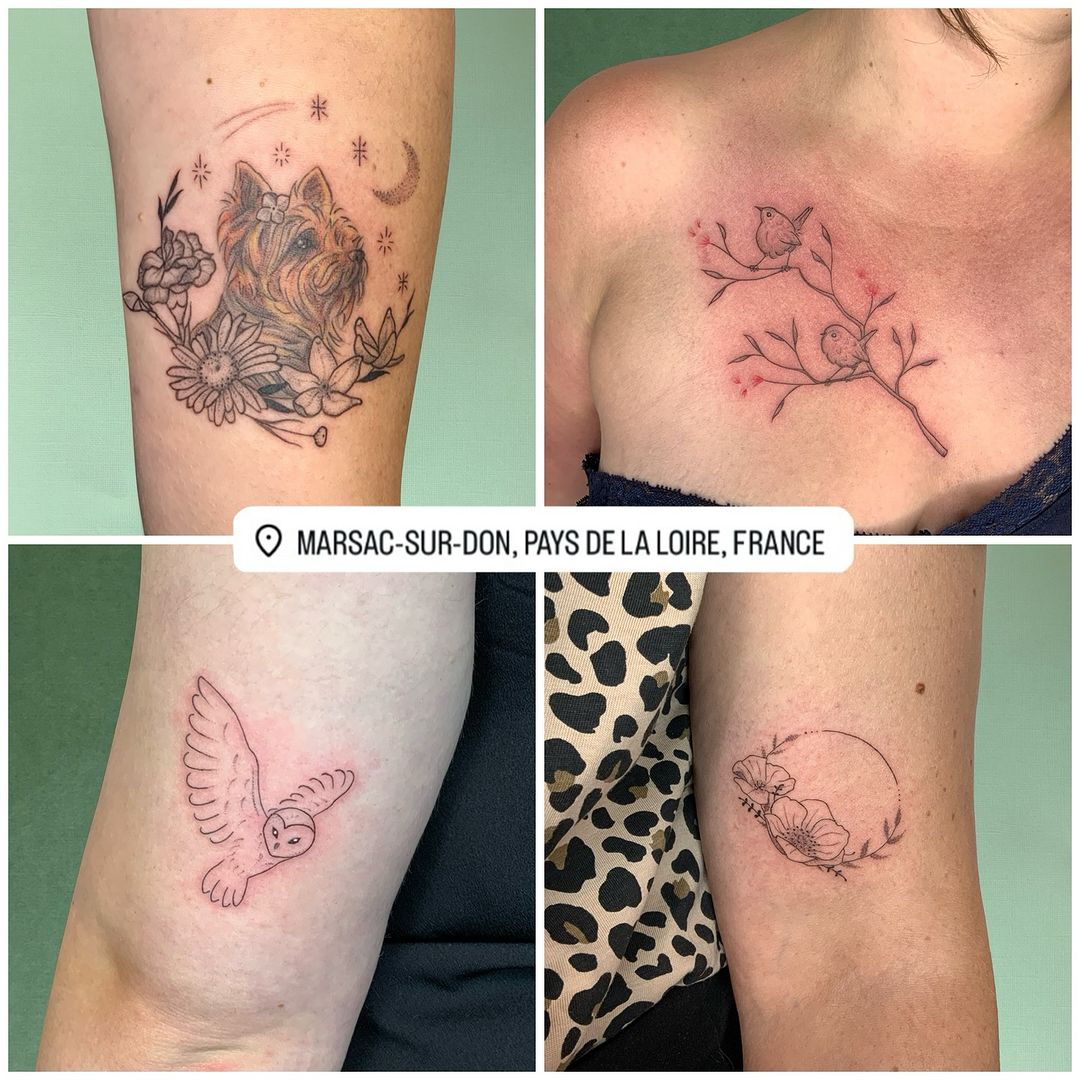 Portfolio de Verdoyante - Chloé