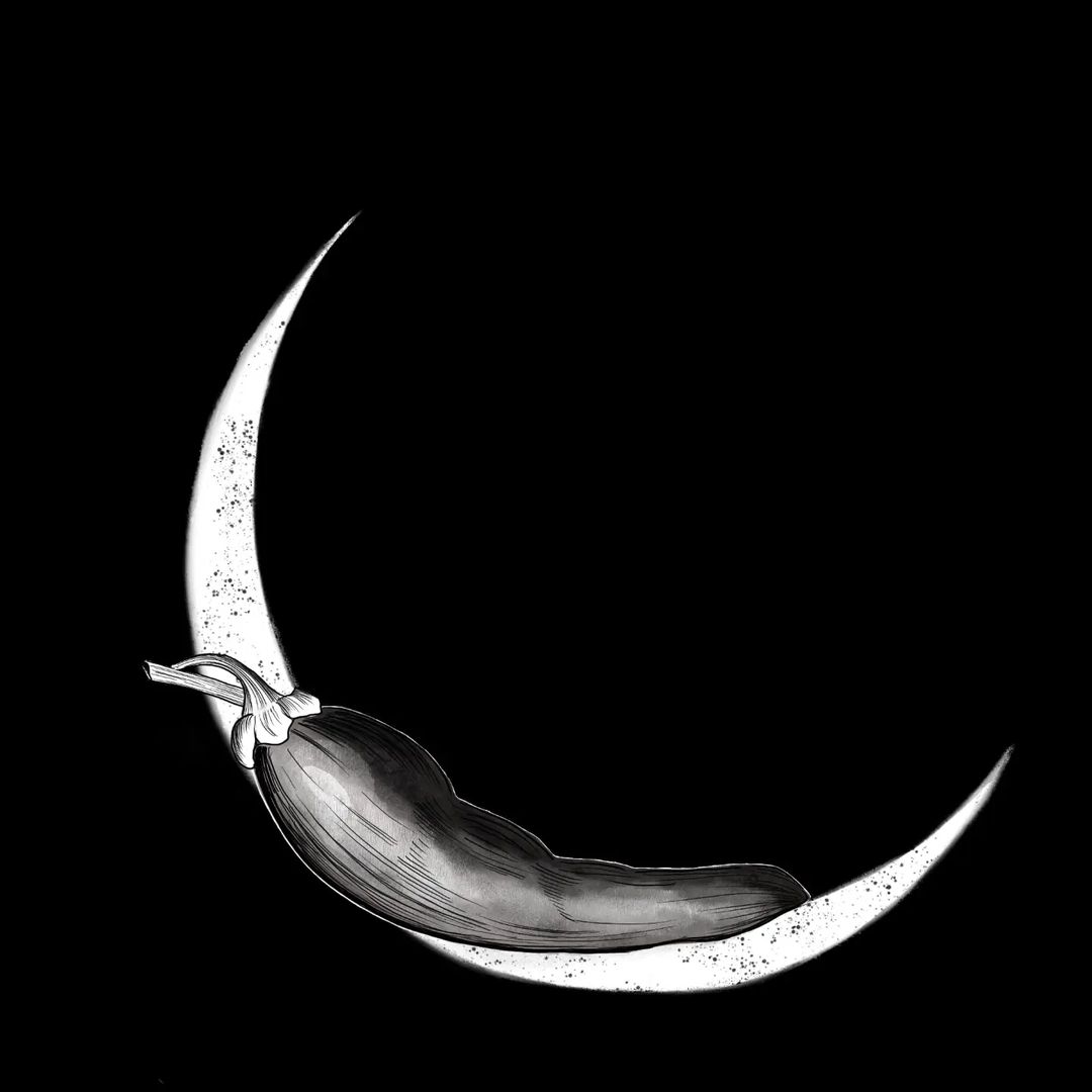 Portfolio de Pepper