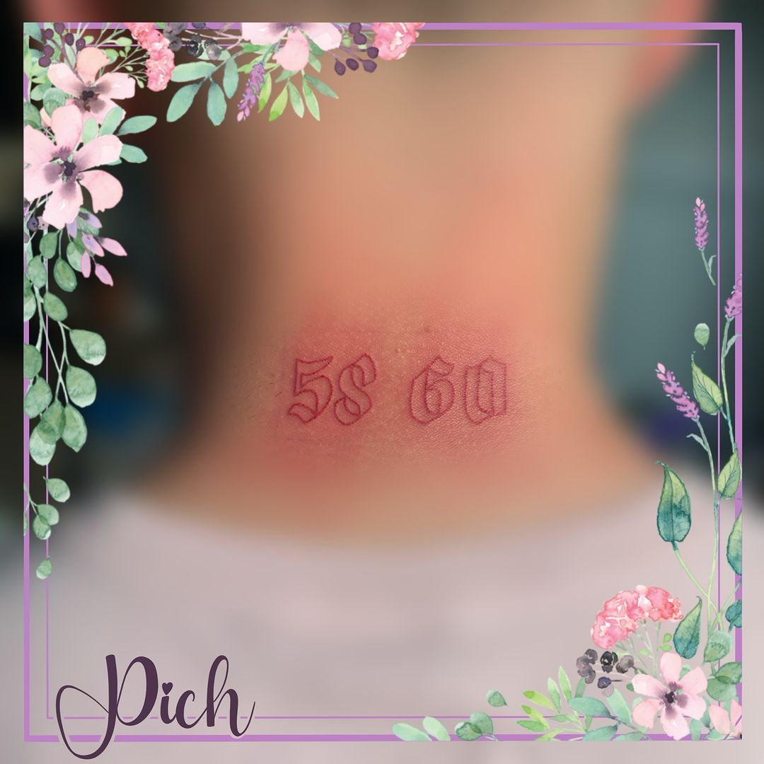 Portfolio de Pich