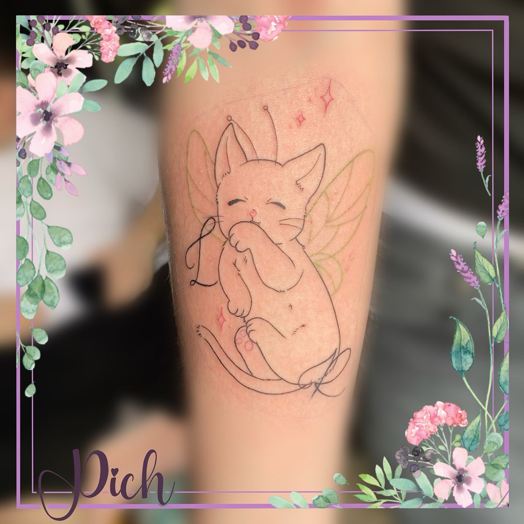 Portfolio de Pich