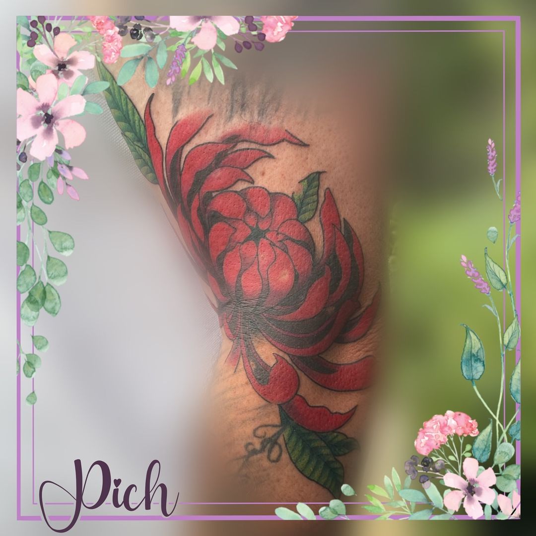 Portfolio de Pich