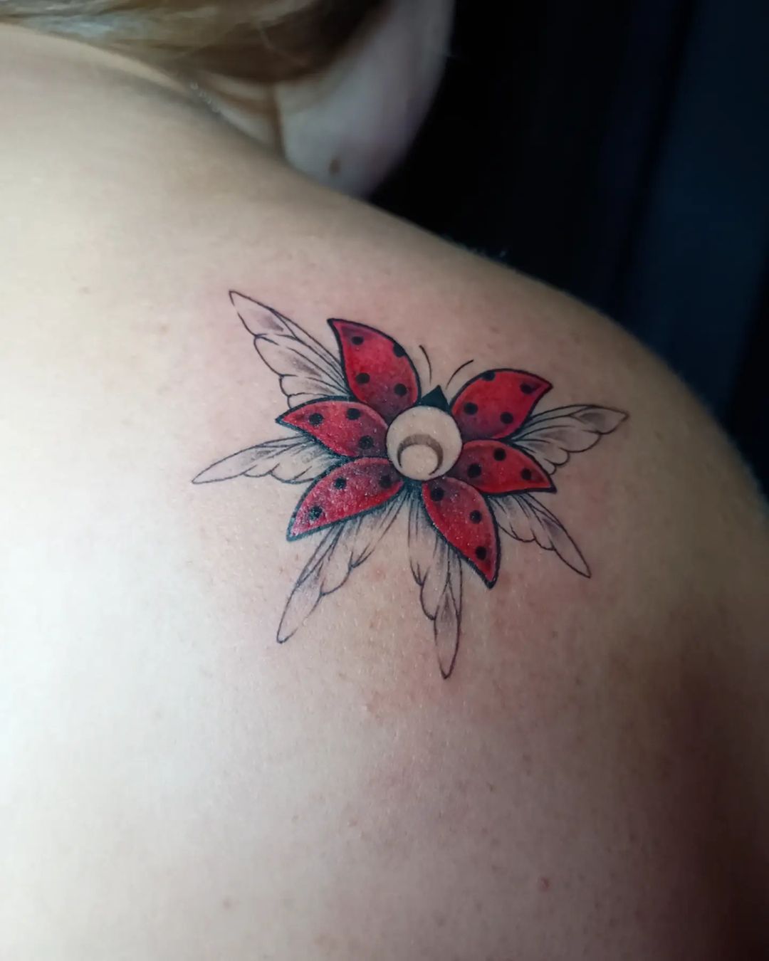 Portfolio de Patte De Velours