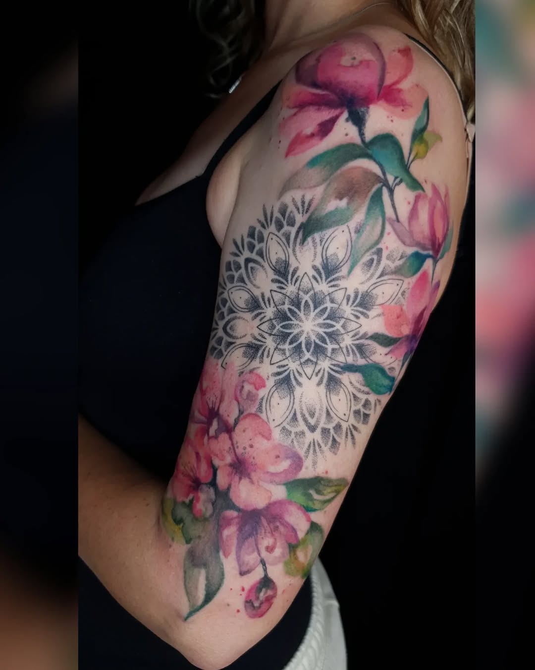 Portfolio de Patte De Velours