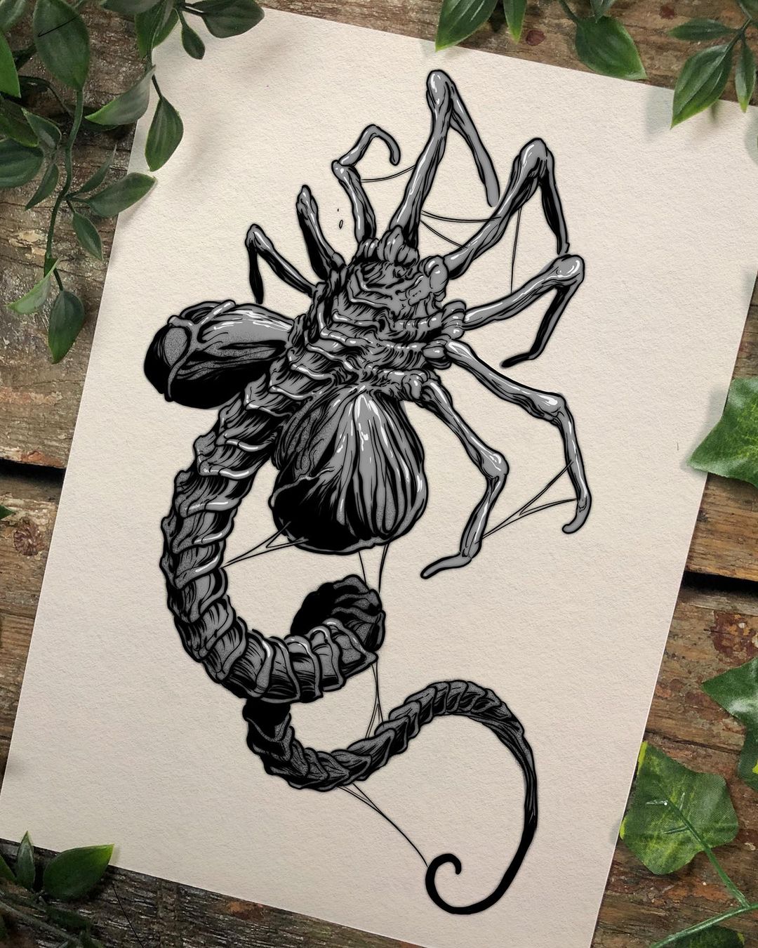 Portfolio de Tom La Murene