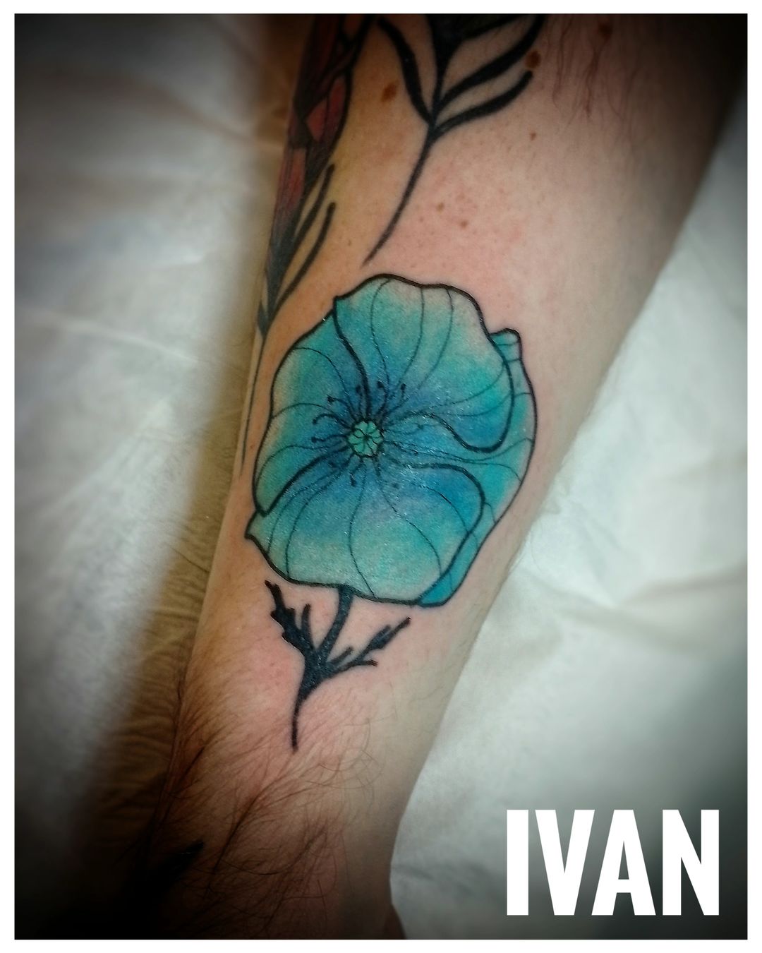 Portfolio de Oculus Animae Tattoo Ivan