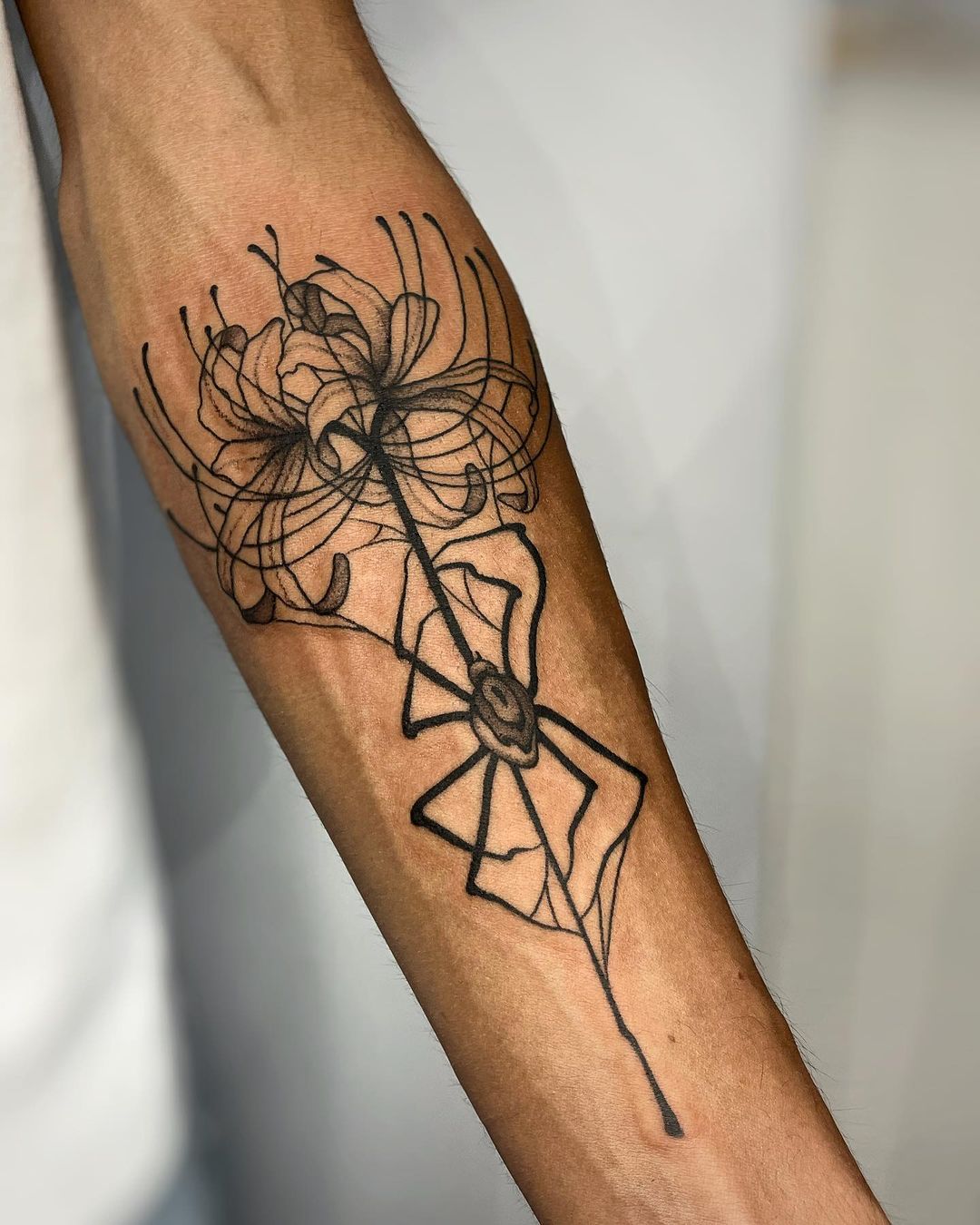 Portfolio de Mannolo