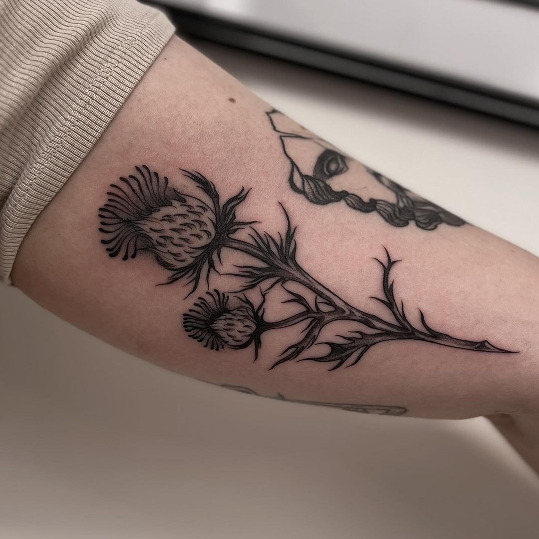 Portfolio de Les Nymphéas Noires