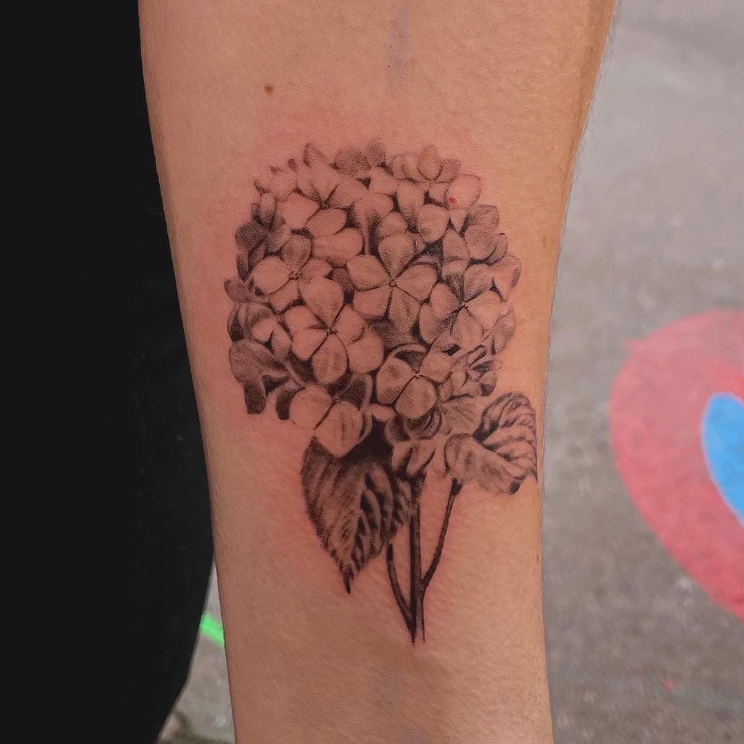 Portfolio de Airelle