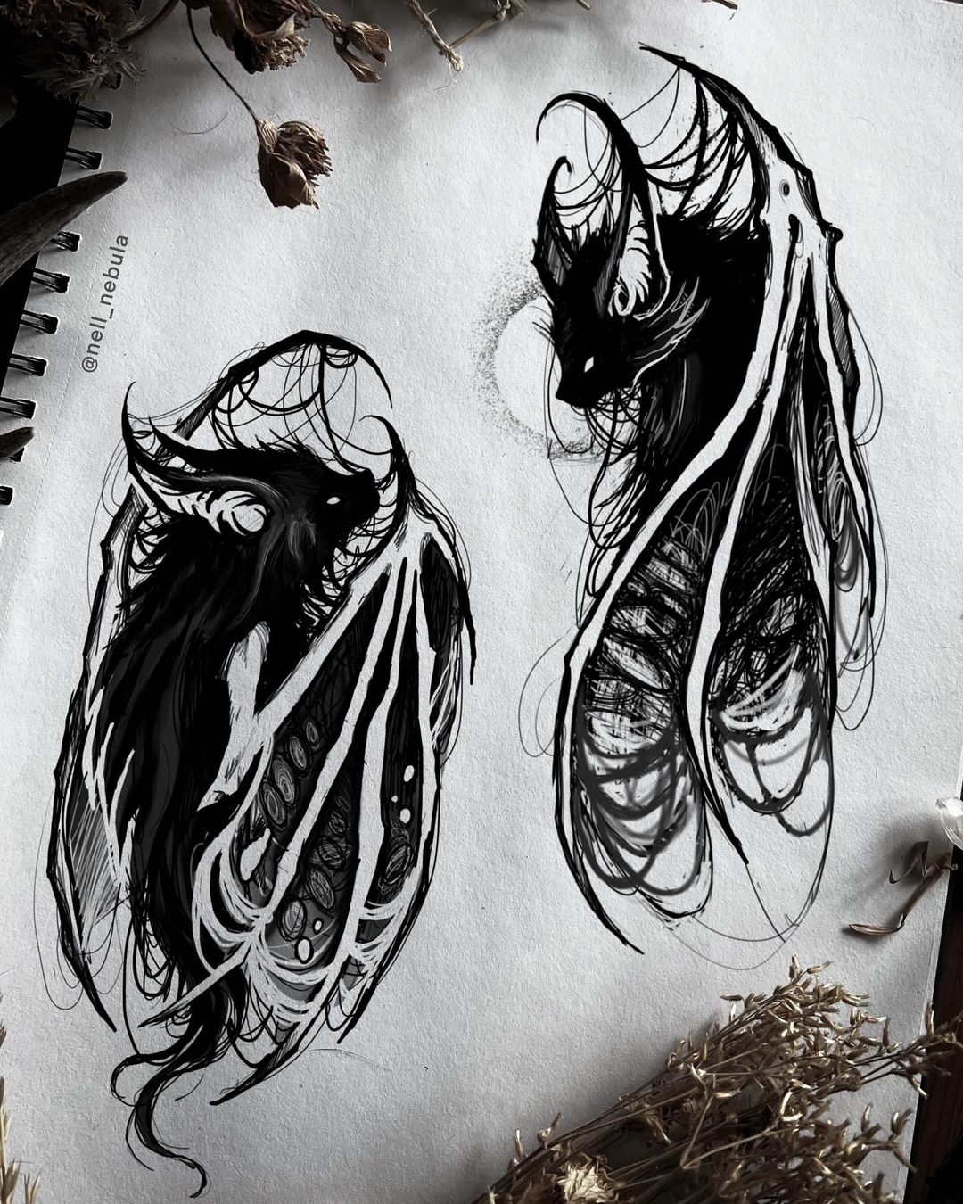 Portfolio de Nell Nebula