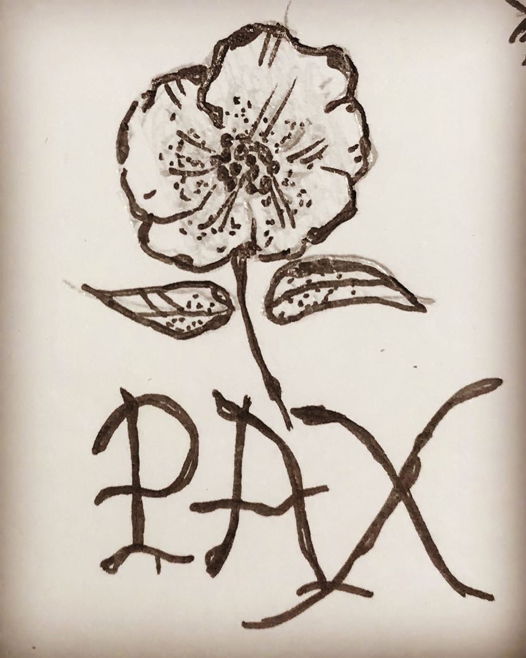 Portfolio de Aimé Pamal