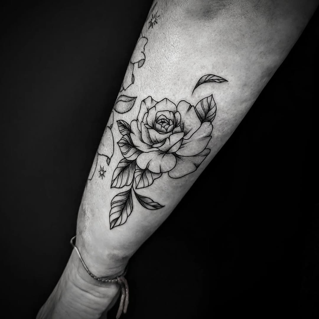 Travail de Saturniia Mathilde
