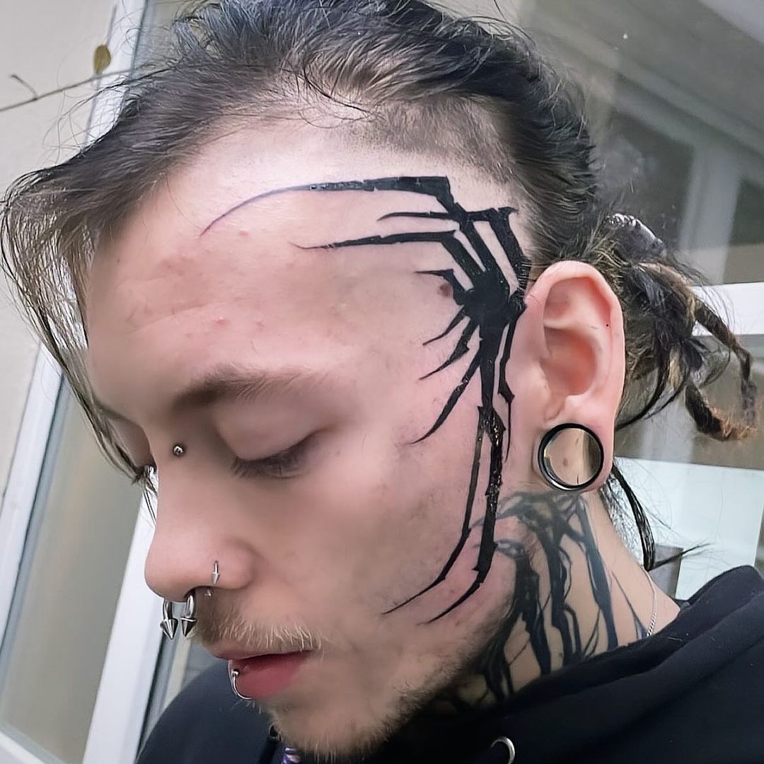Travail de Alexandre Mourer