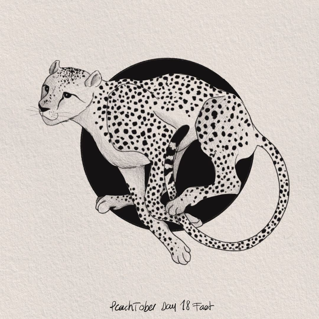 Portfolio de Manon Picardat