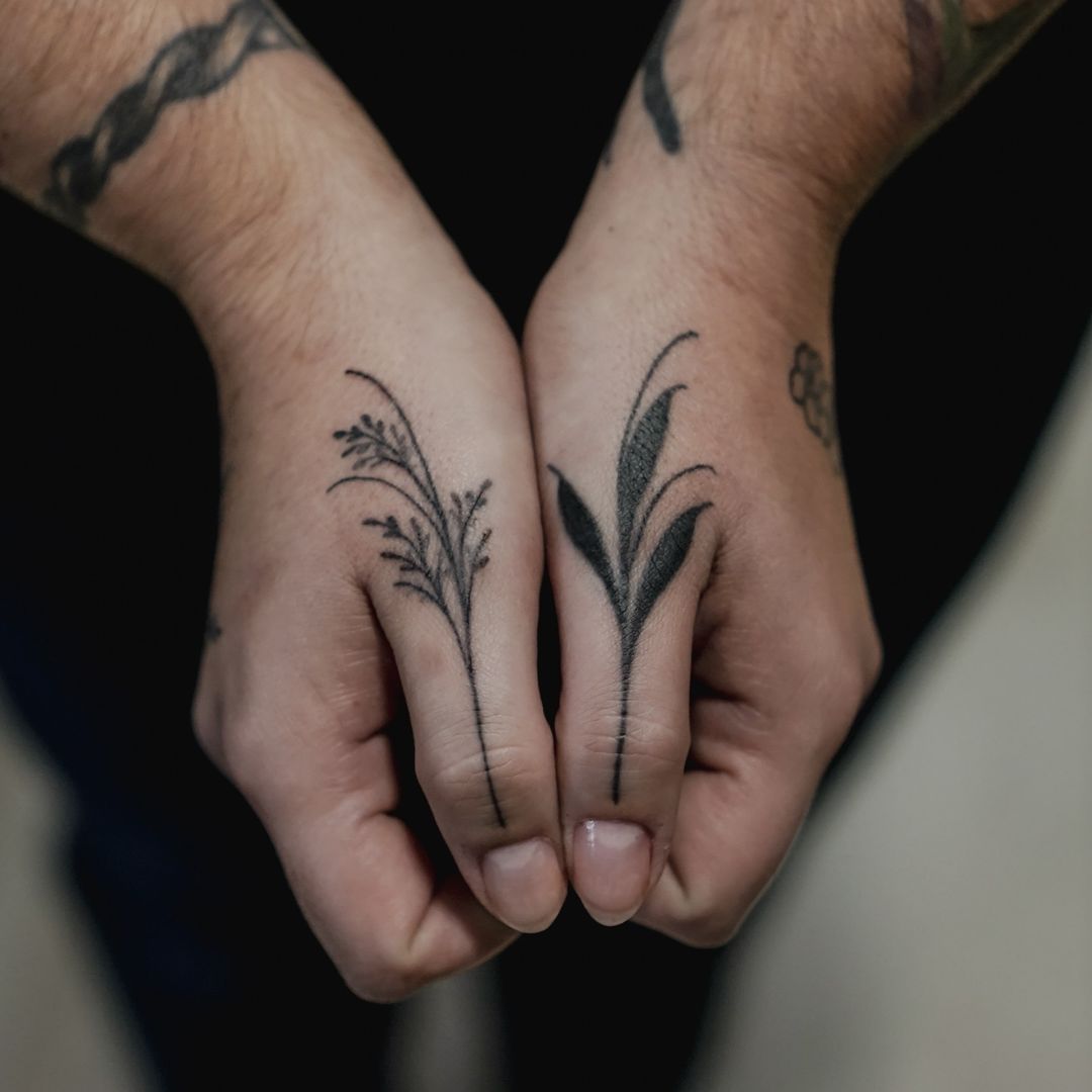 Travail de Manon Picardat