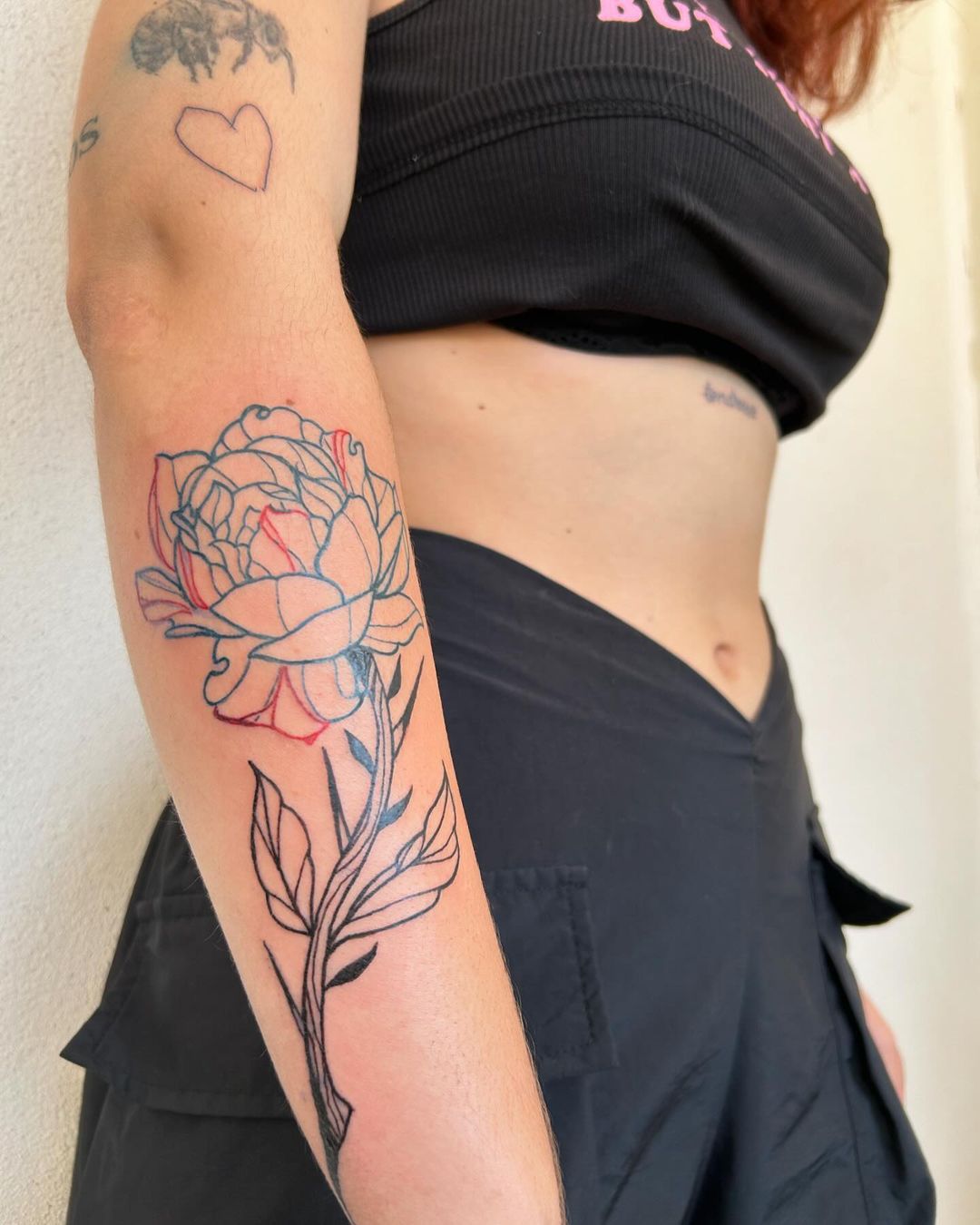 Portfolio de Meadow