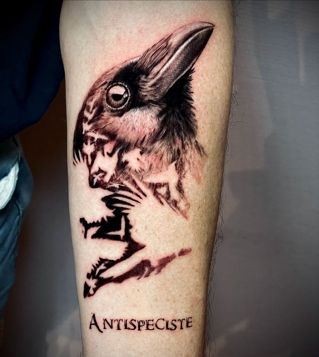 Travail de Corentin Pinto