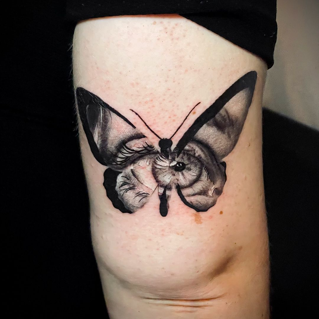 Travail de Corentin Pinto