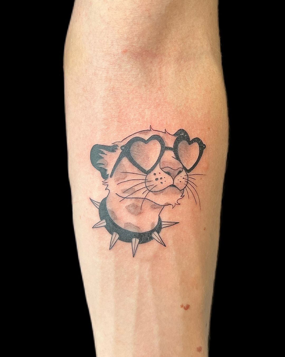 Portfolio de Cache-Coeur