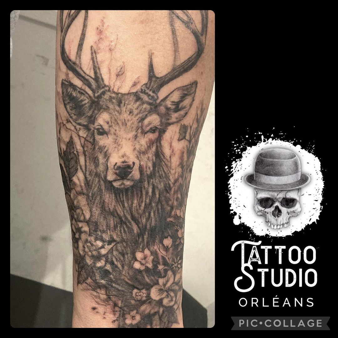 Portfolio de Tattoo Studio
