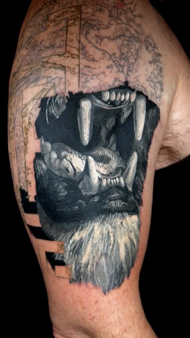 Travail de Indy Gibbs