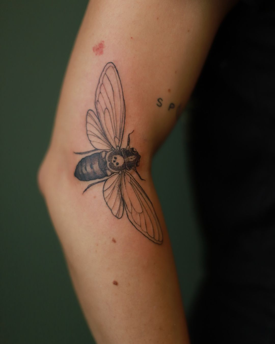 Travail de Caroline Tattoo Artist