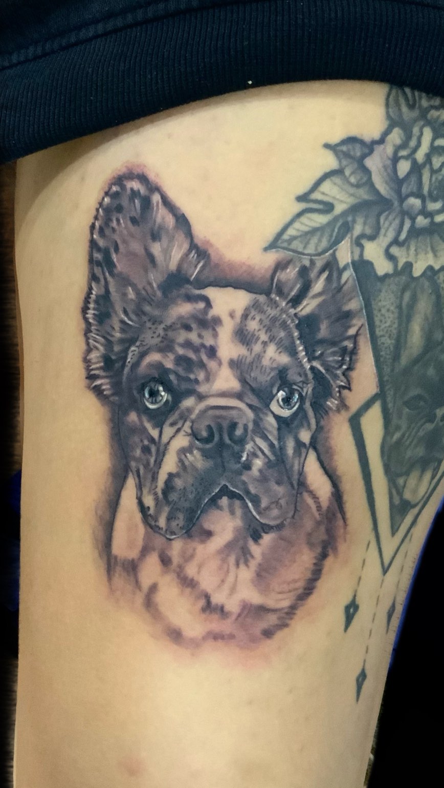Travail de Erick Olguin