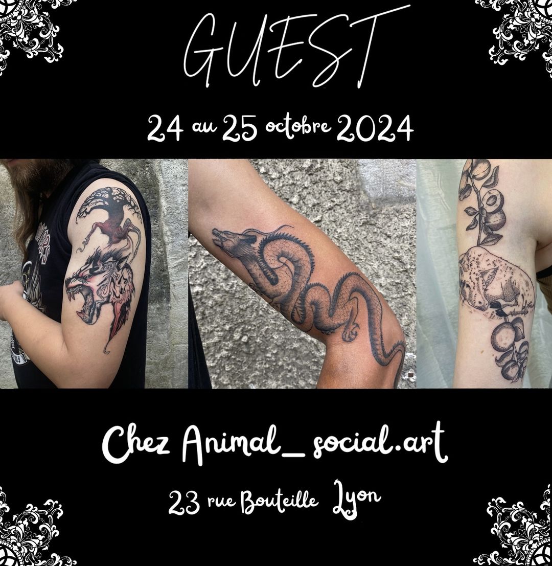 Portfolio de Amélie.B