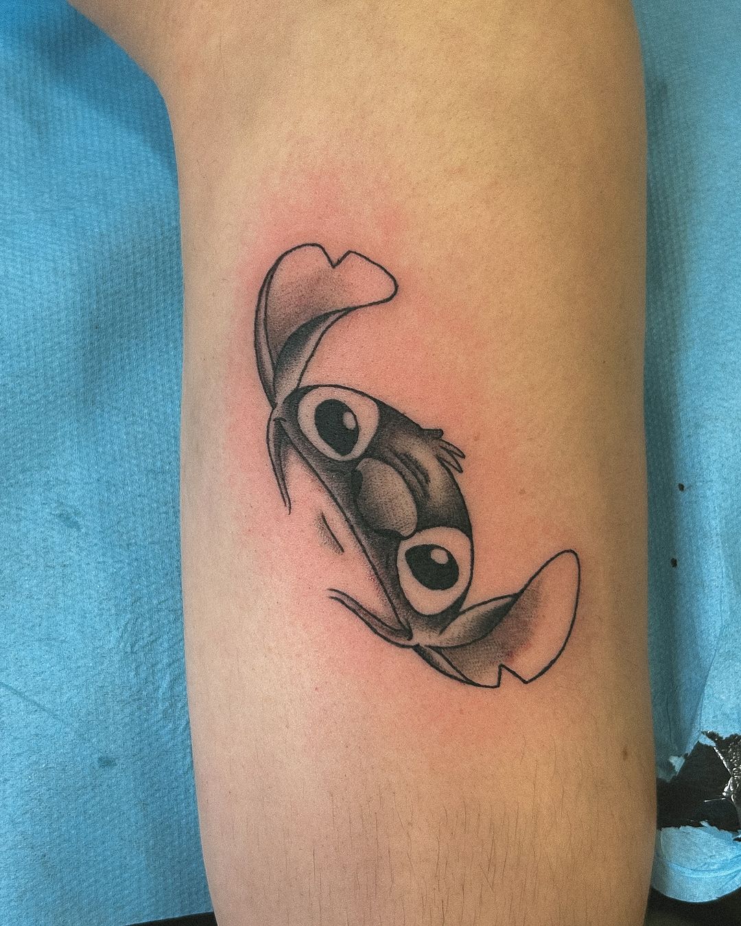 Travail de Morgan Giliberto