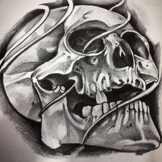 Fred Skull
