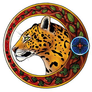 Panthera Onca