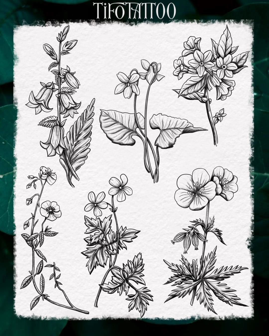 Portfolio de Tifotattoo