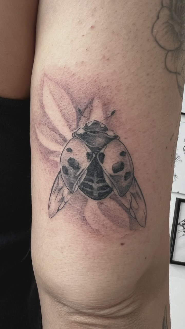Tatouage par Lemothtontatoueur