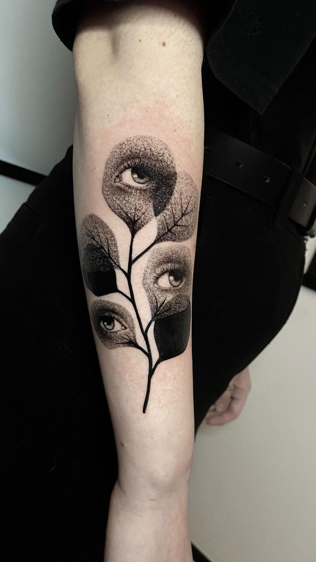 Travail de Morgane.Novera