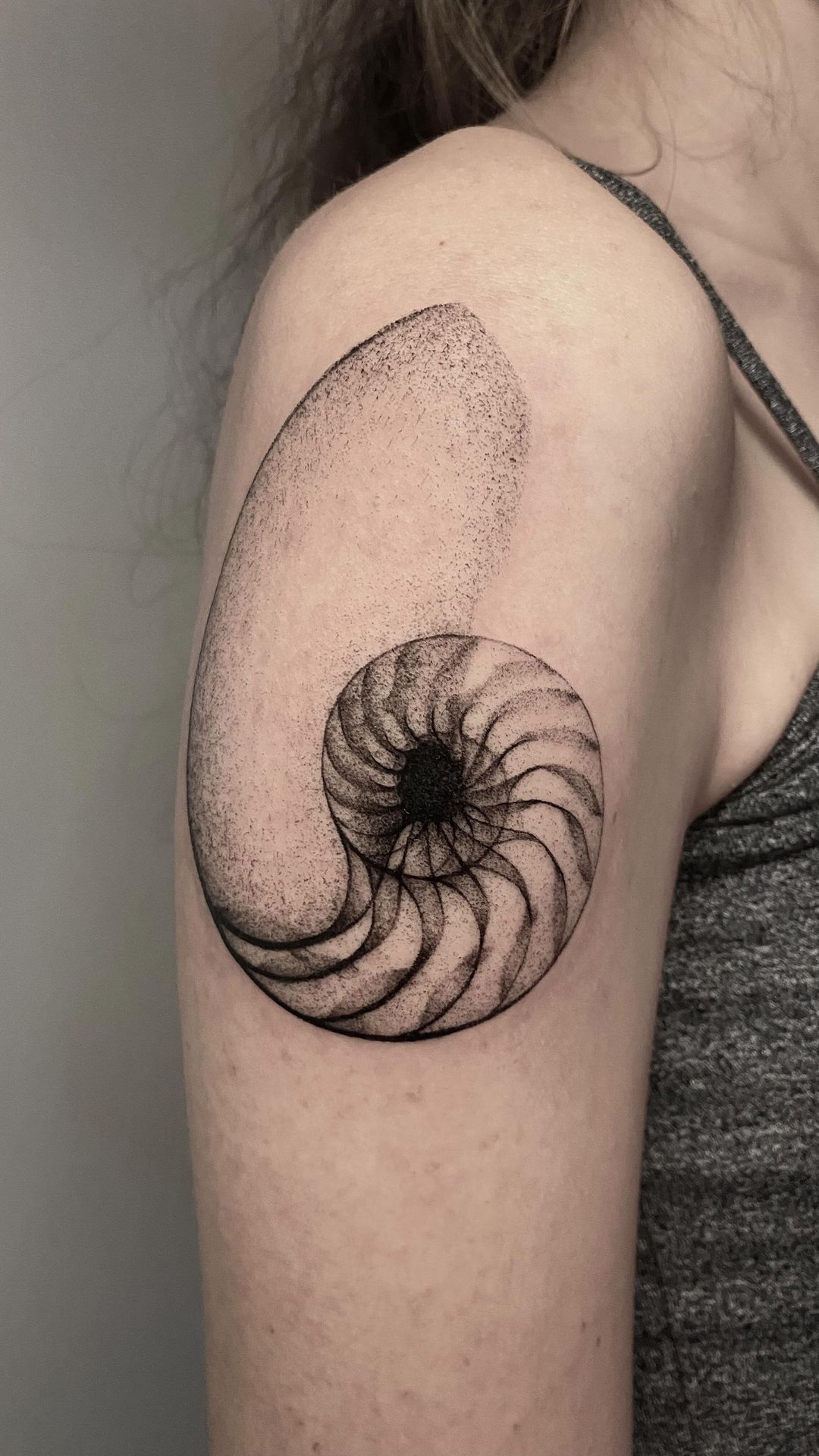 Travail de Morgane.Novera