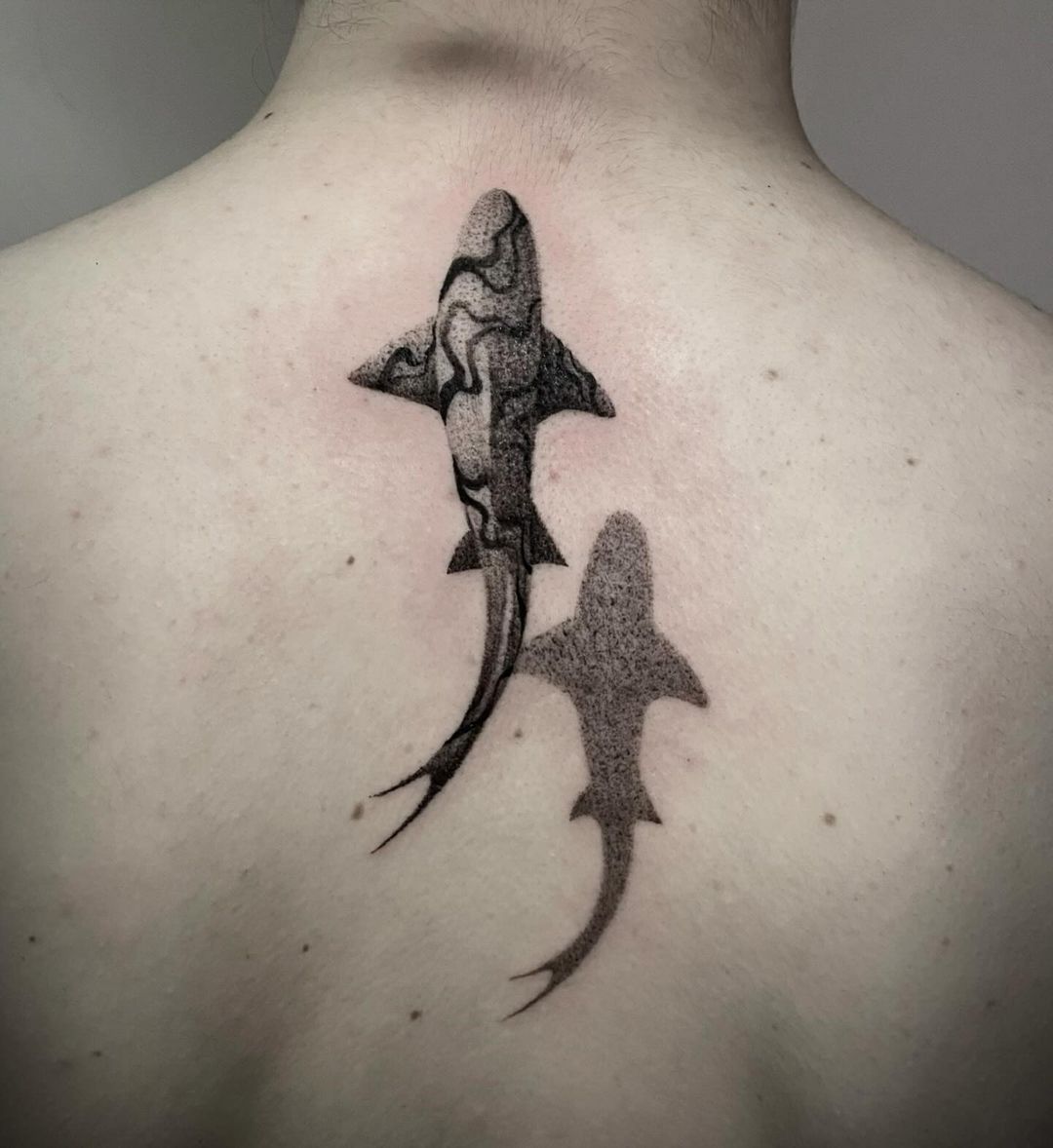 Travail de Morgane.Novera