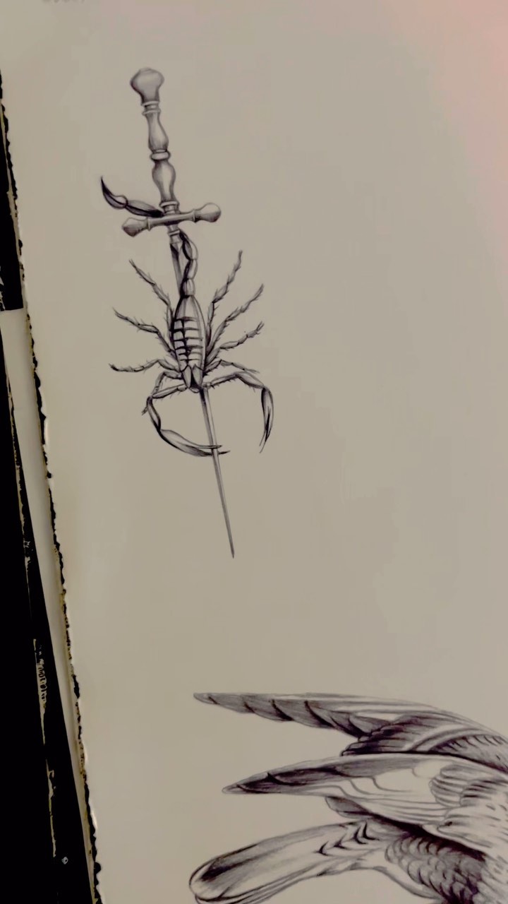Portfolio de Oadzoo