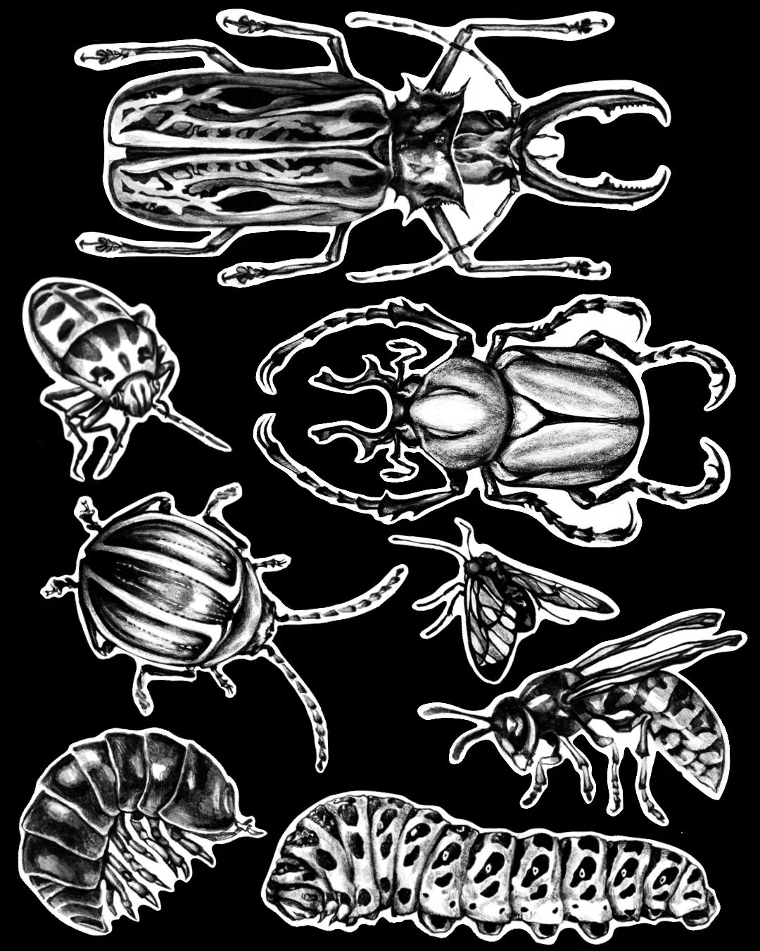 Portfolio de Fish Bones Fishandbones