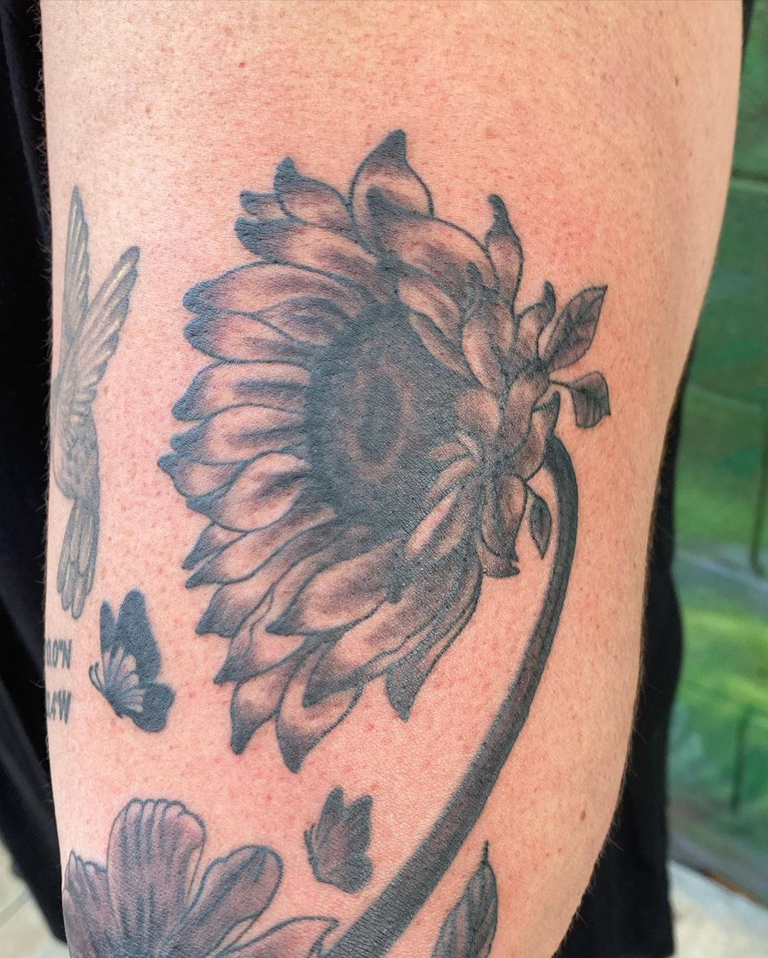 Tatouage par Anthony Tattoos