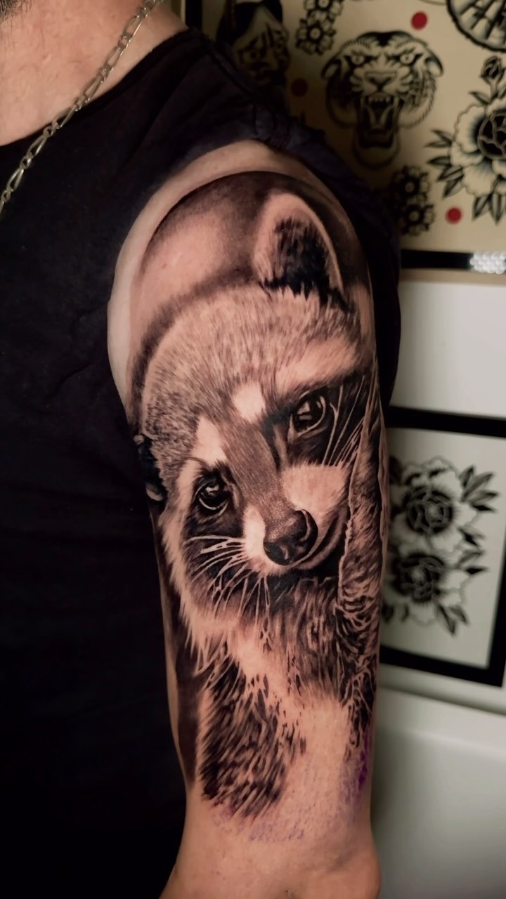 Portfolio de Ted Ewoks