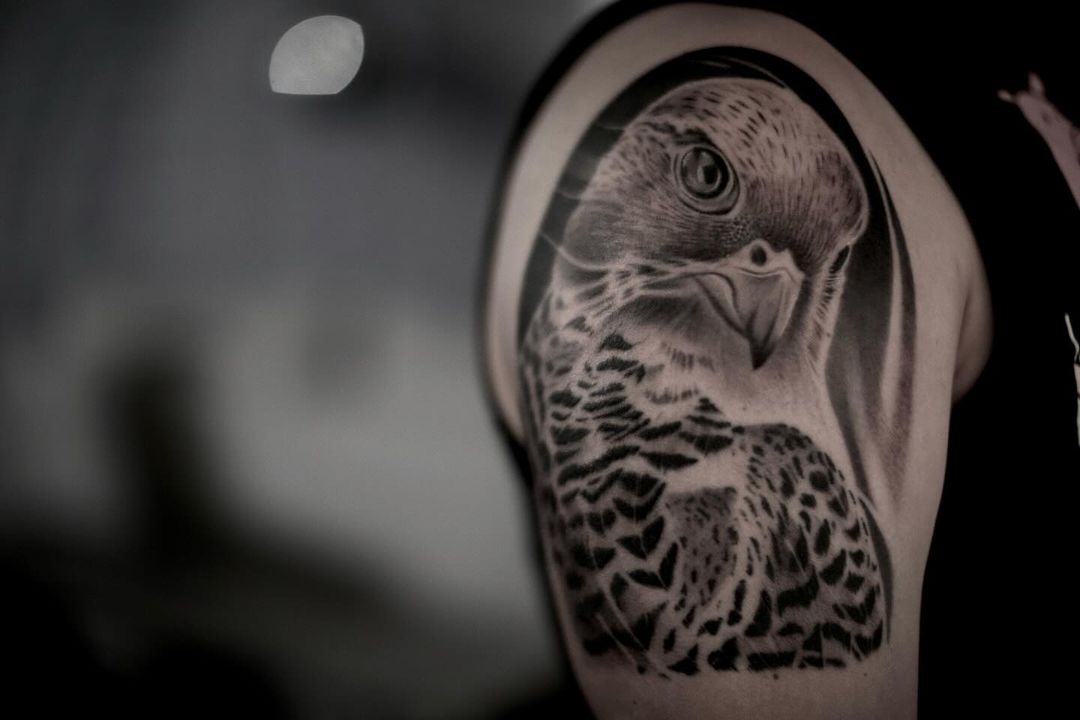 Portfolio de Tasso Argy