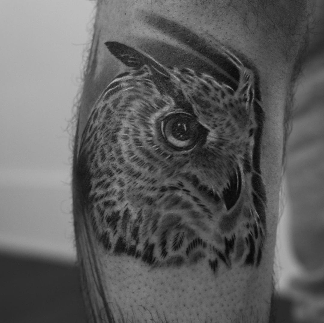 Portfolio de Tasso Argy