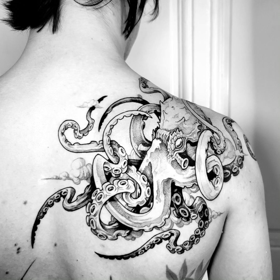 Portfolio de Senor Octopus
