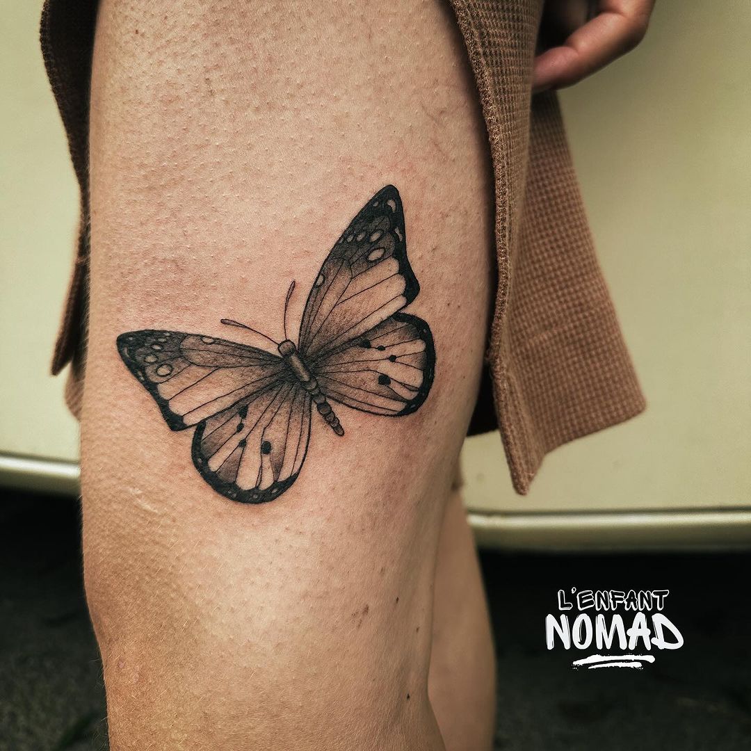 Portfolio de l'Enfant Nomad