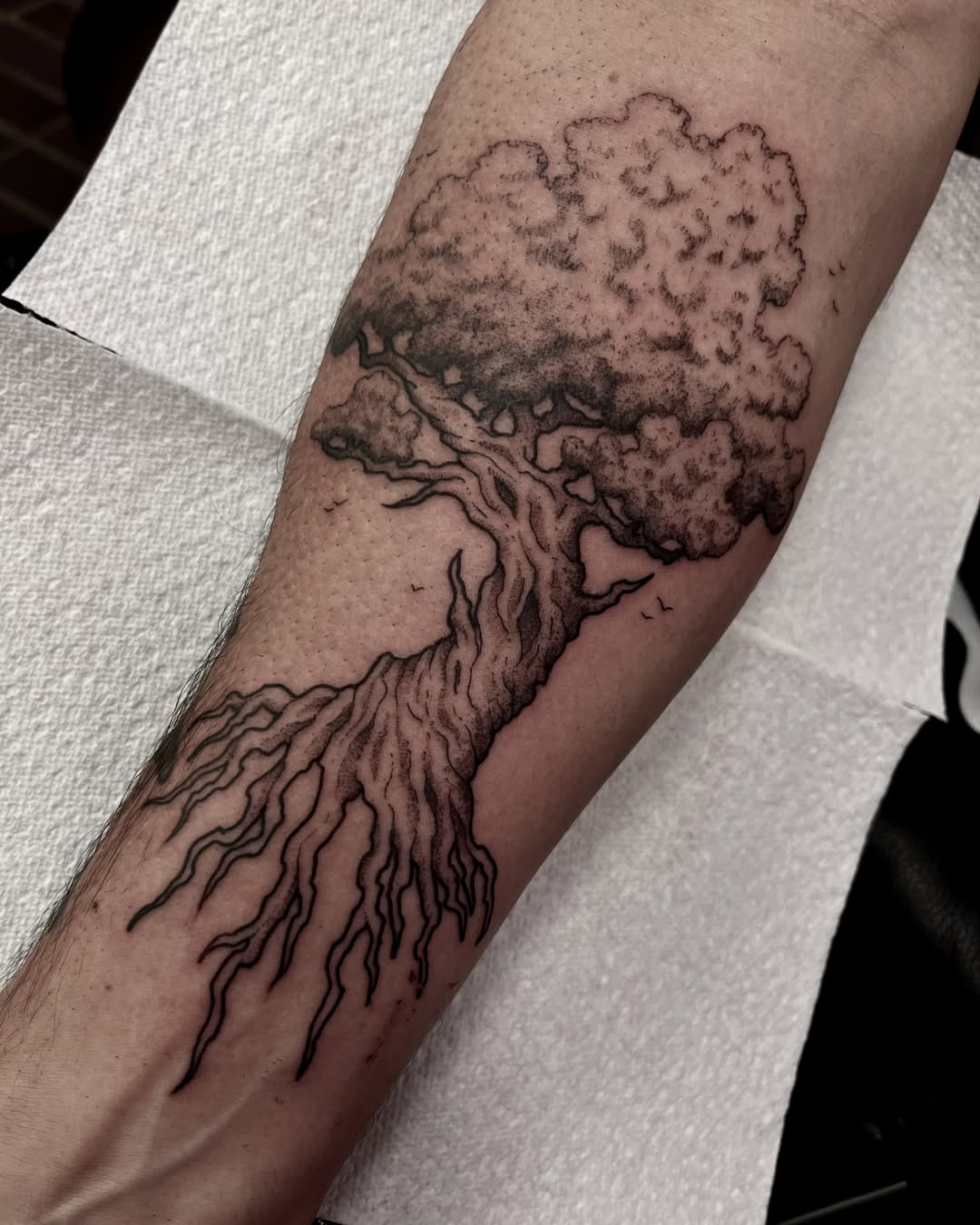 Tatouage par Sean Allaili