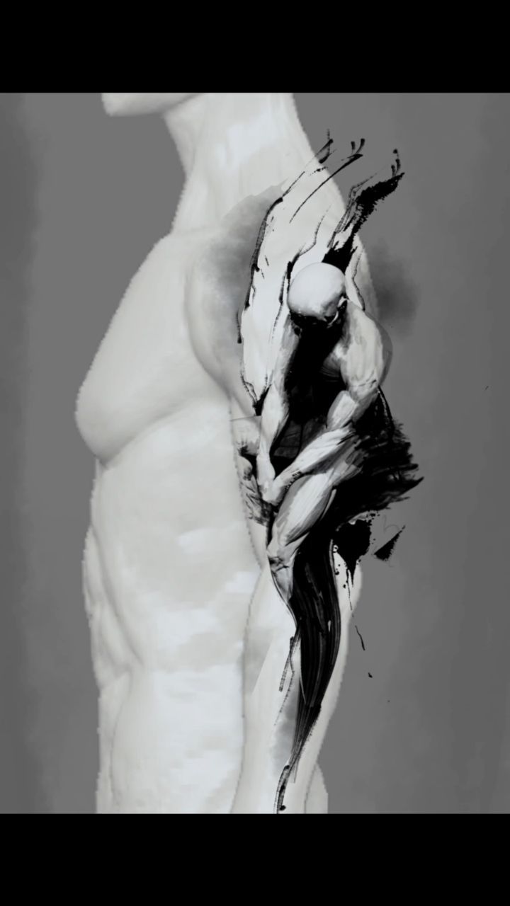 Portfolio de Lassal